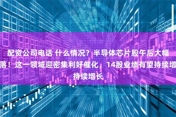 配资公司电话 什么情况？半导体芯片股午后大幅回落！这一领域迎密集利好催化，14股业绩有望持续增长