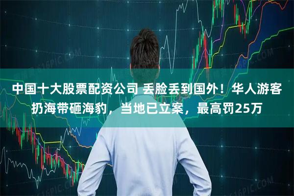 中国十大股票配资公司 丢脸丢到国外！华人游客扔海带砸海豹，当地已立案，最高罚25万